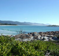 Beach Path House - Melbourne Tourism