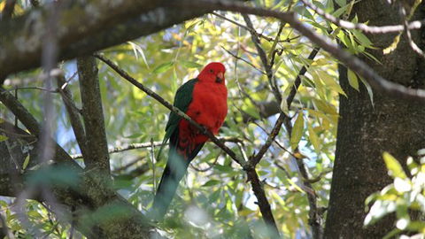 Gentle Annie Caravan And Camping Reserve - Melbourne Tourism 2