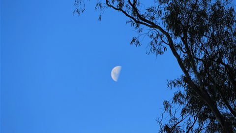 Gentle Annie Caravan And Camping Reserve - Melbourne Tourism 4