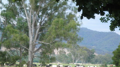 Gentle Annie Caravan And Camping Reserve - Melbourne Tourism 3