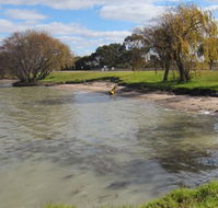 Kangaroo Lake Caravan Park - Melbourne Tourism