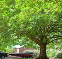 Lakes and Craters Holiday Park - Melbourne Tourism