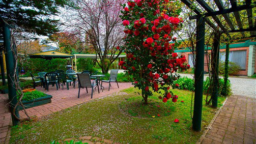 Bright VIC Melbourne Tourism