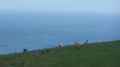 Clifton Beach Lodge - Melbourne Tourism 5