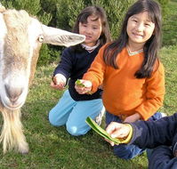 Johanna River Farm and Self Contained Cottages - Melbourne Tourism