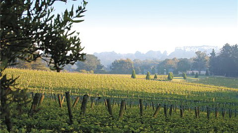 Lindenderry At Red Hill - Melbourne Tourism 1