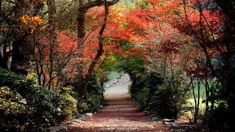 Lindenderry At Red Hill - Melbourne Tourism 7