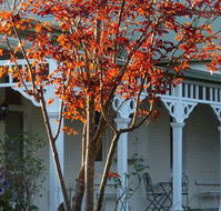 Yarra Gables Motel - Melbourne Tourism