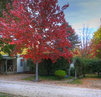 Bright Caravan Park - Melbourne Tourism