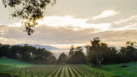 Ainsworth Estate - Melbourne Tourism 1