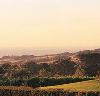 The Studio Bed and Breakfast - Melbourne Tourism