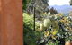 Kangaroos In The Top Paddock - thumb 6