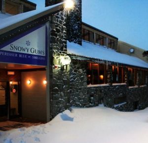 Snowy Gums Chalet - Melbourne Tourism 1