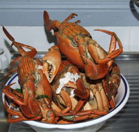 King Ash Bay Lodge - Melbourne Tourism