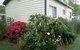 Jenolan Caravan Park - thumb 1