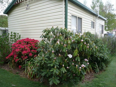 Jenolan Caravan Park - Melbourne Tourism 1
