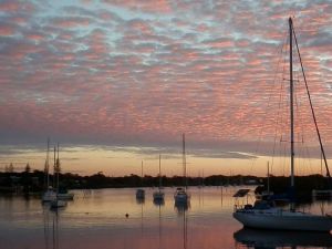 Calypso Holiday Park - Melbourne Tourism 0