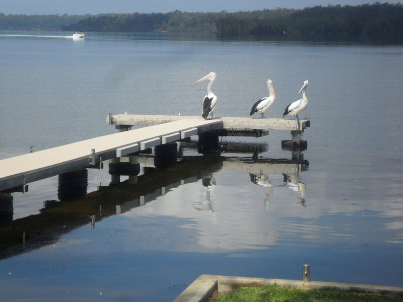 Basin View NSW Melbourne Tourism