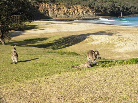 Creel Lodge - Melbourne Tourism 13
