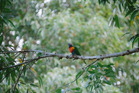 Creel Lodge - Melbourne Tourism 14