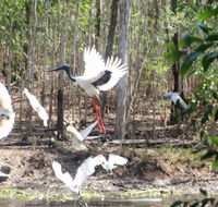 Rakhi Retreat - Melbourne Tourism