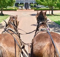 Hunter Valley Horses - Melbourne Tourism