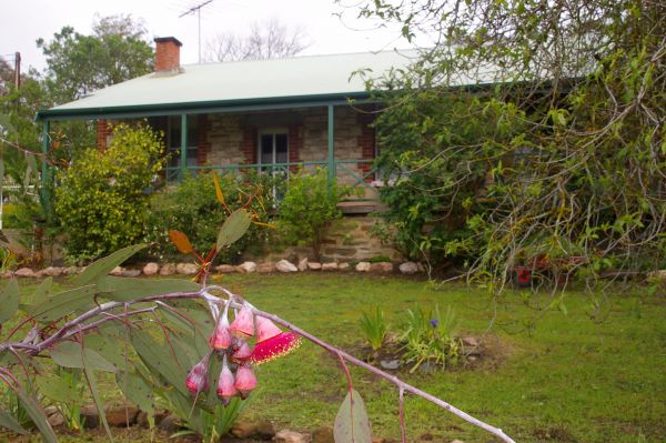 Rosslyn Park SA Melbourne Tourism