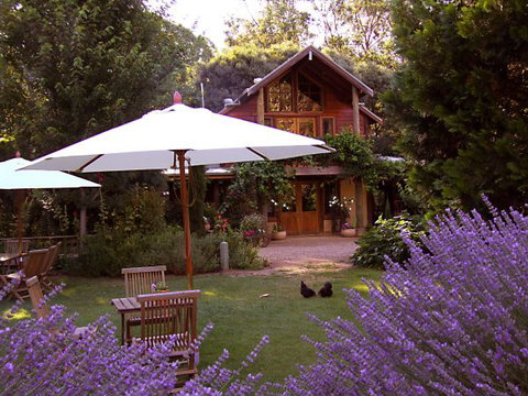 Lavender Hue - Melbourne Tourism 0