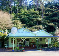 Tarra Valley Caravan Park - Melbourne Tourism