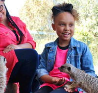 Billabong Koala and Wildlife Park - Melbourne Tourism
