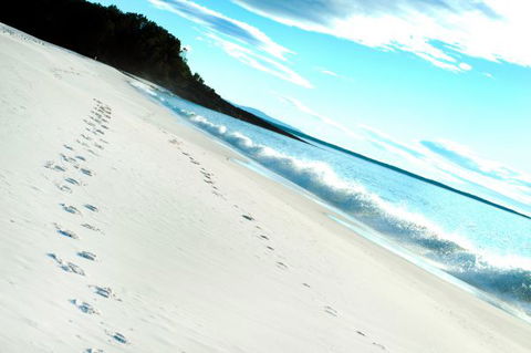 Seaglass - Melbourne Tourism 35