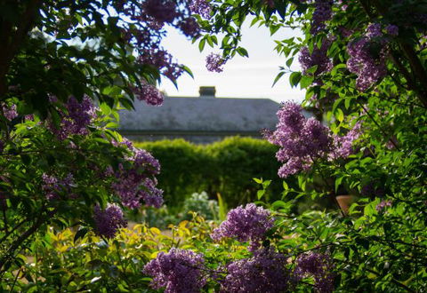 Eurambeen Historic Homestead And Gardens - Melbourne Tourism 1
