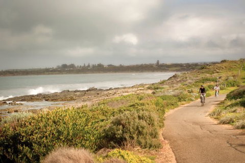 Norfolks - Melbourne Tourism 5