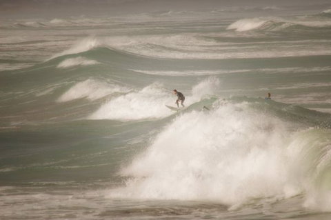 Norfolks - Melbourne Tourism 6