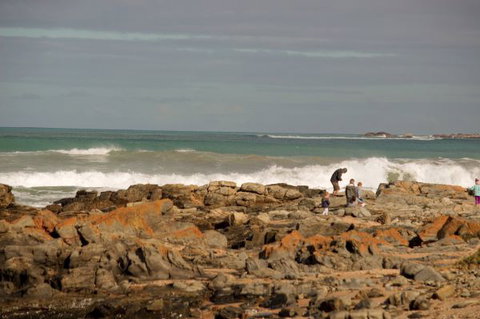 Norfolks - Melbourne Tourism 7