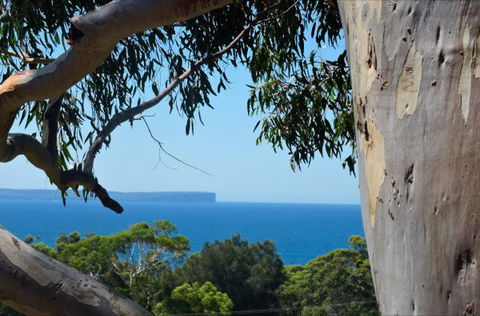 Seaglass - Melbourne Tourism 41