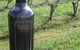 Warrenmang Vineyard & Resort - thumb 5