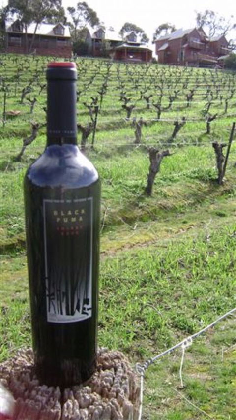 Warrenmang Vineyard & Resort - Melbourne Tourism 5