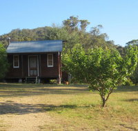 Peach Tree Cabin - Melbourne Tourism
