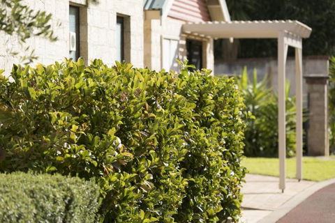 Amalfi Resort - Melbourne Tourism 5