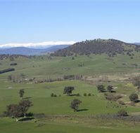 Rancho Relaxo - Melbourne Tourism