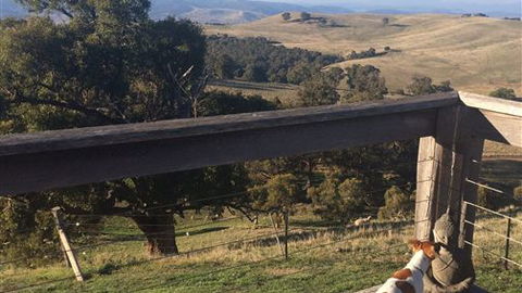 Merrindie - Melbourne Tourism 5