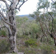 The Glen - Melbourne Tourism