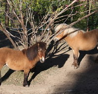 Cloud End Farmstay - Melbourne Tourism