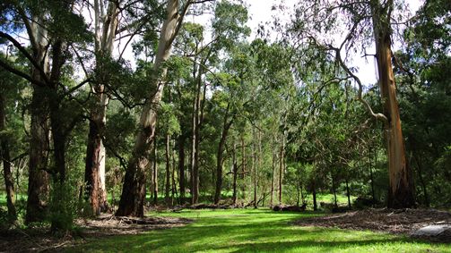 Benwerrin ACT Melbourne Tourism