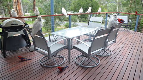 Blue Ridge Retreat - Melbourne Tourism 2