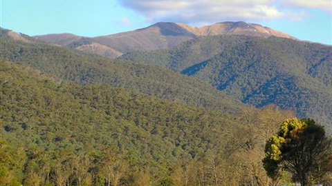 Mountain View Retreat - Melbourne Tourism 4