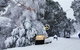 Feathertop Alpine Lodge - thumb 0