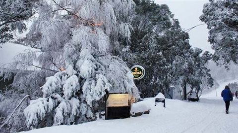 Feathertop Alpine Lodge - Melbourne Tourism 0