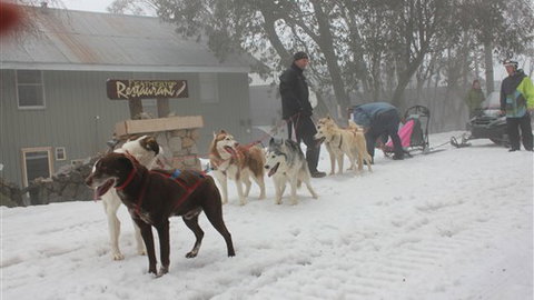 Feathertop Alpine Lodge - Melbourne Tourism 4